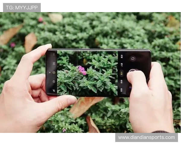 飞驰在线官网优化用户界面提升访问速度赢得广大用户好评